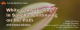 Background of a blossoming white and pink flower against a green background. Text show the name and time information for the class series.